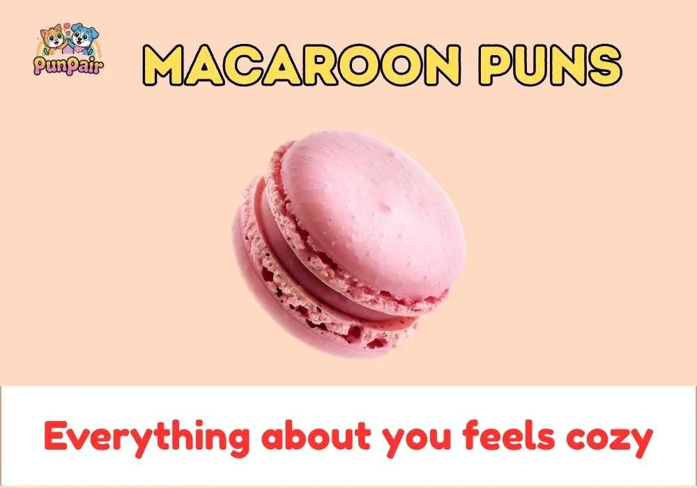 Macaroon Puns