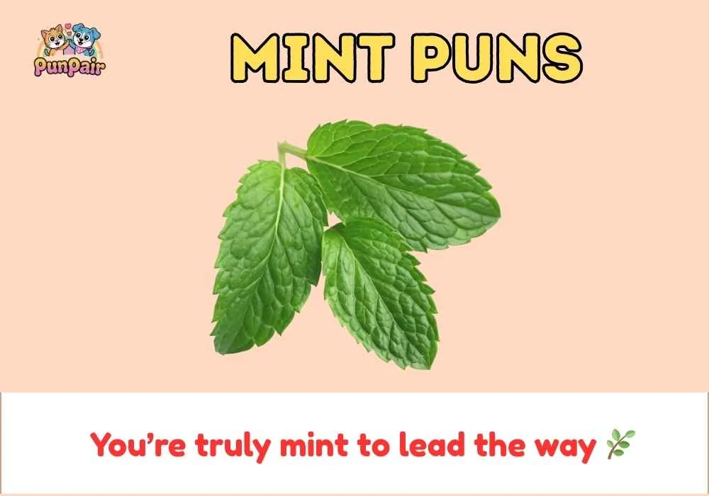 Mint Puns