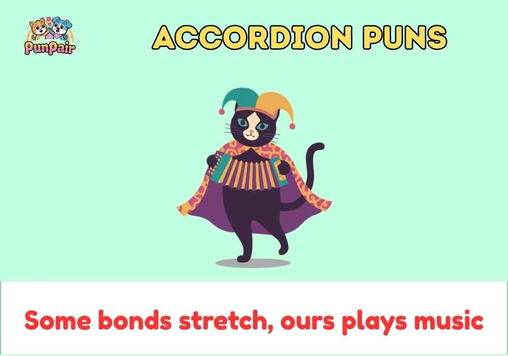 Accordion Puns