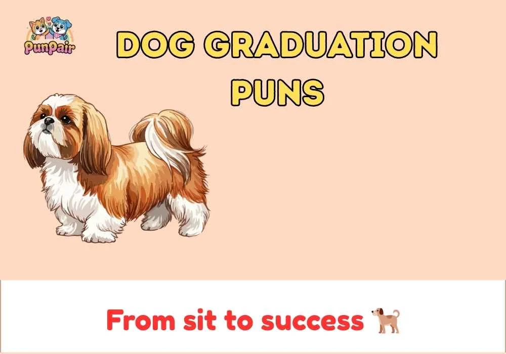Dog Graduation Puns
