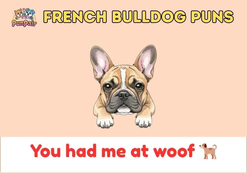 French Bulldog Puns