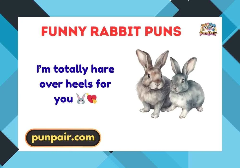 Funny Rabbit Puns