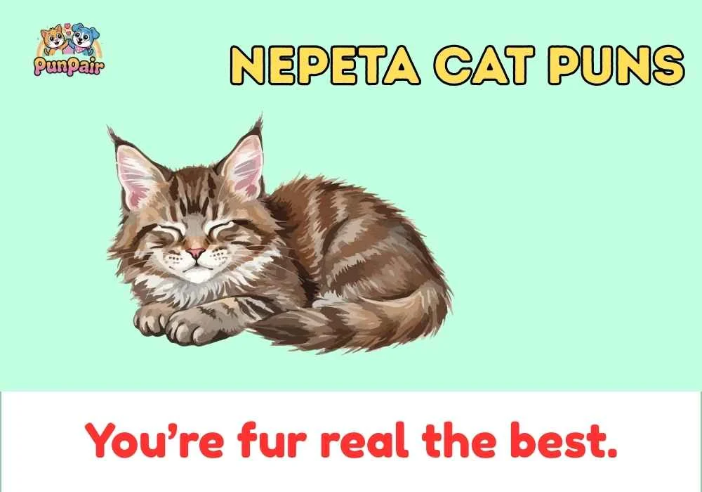 Nepeta Cat Puns