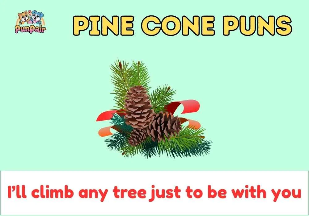 Pine Cone Puns