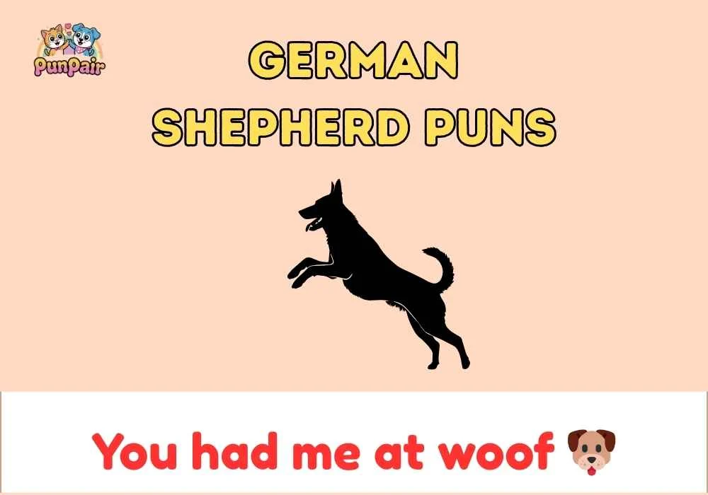 German Shepherd Puns