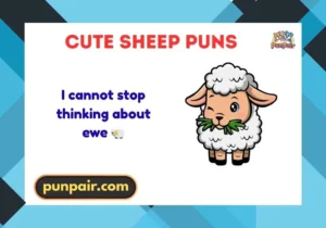 Cute Sheep Puns