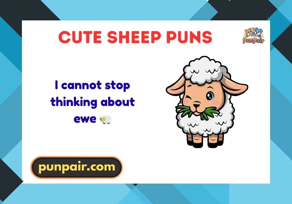 Cute Sheep Puns