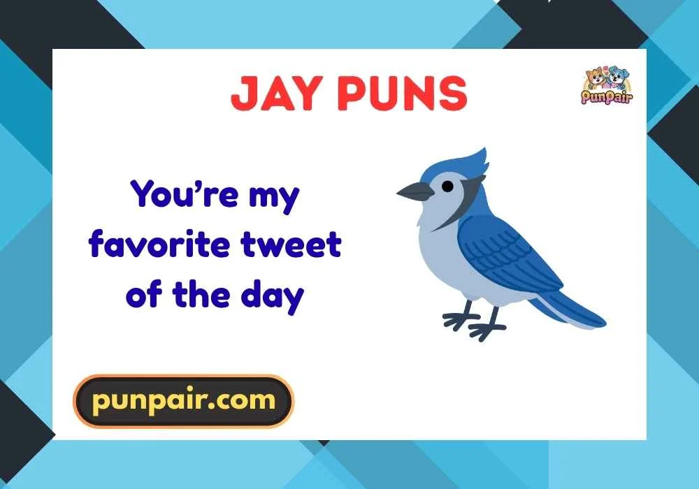 Jay Puns