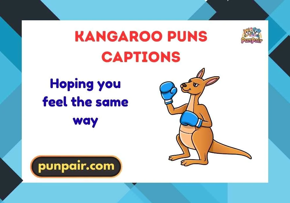 Kangaroo Puns Captions