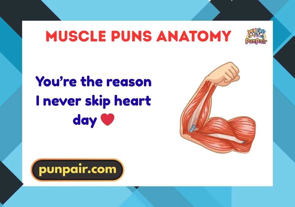Muscle Puns Anatomy