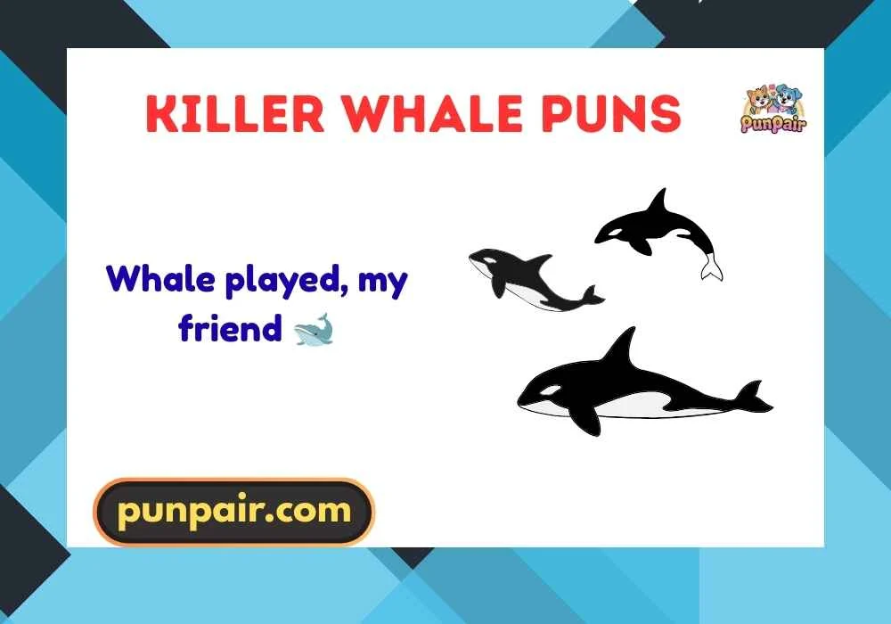 Killer Whale Puns