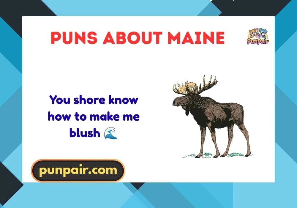 puns about maine