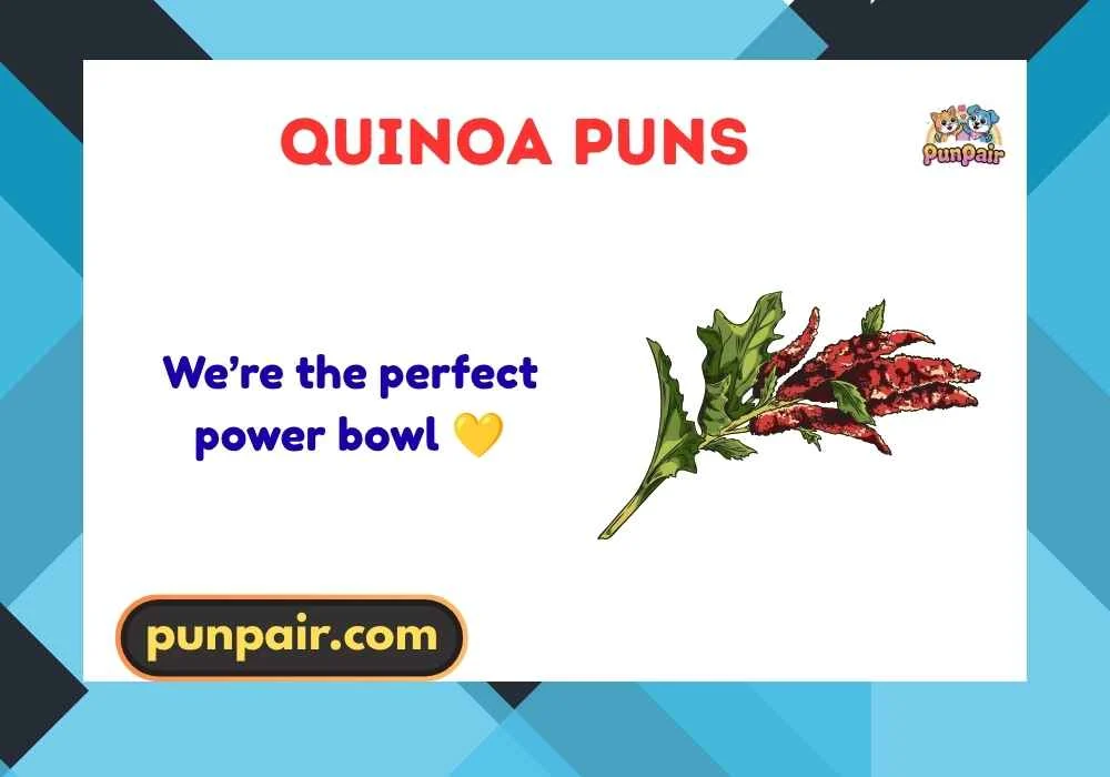 Quinoa Puns