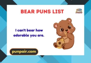 bear puns list