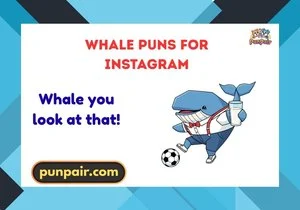 whale puns for instagram